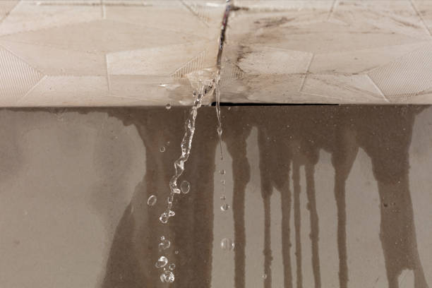 Professional Flood Damage Cleanup technician working in Montclair, VA